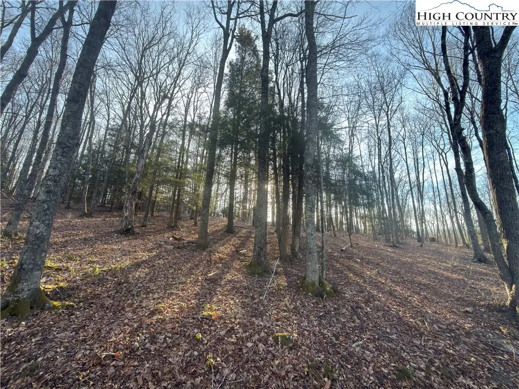 TBD Linwood Lane, Newland, NC 28657 - #1