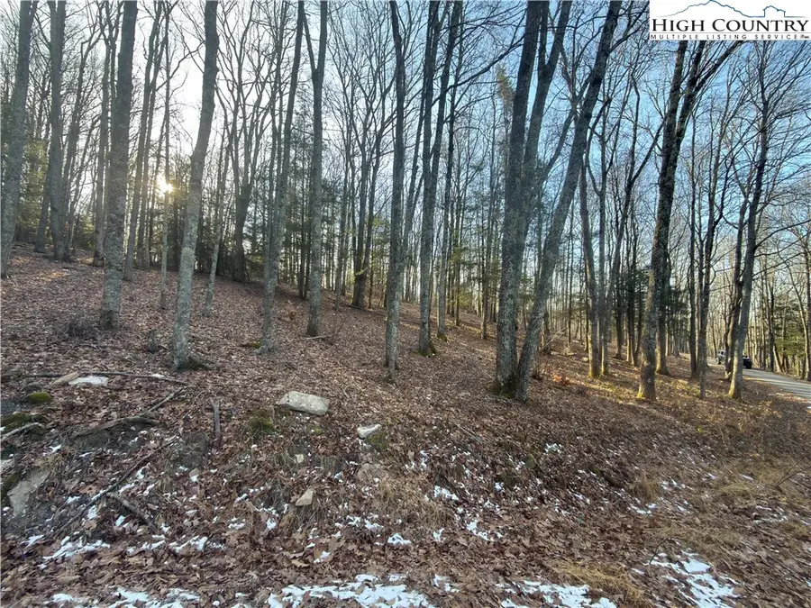 TBD Linwood Lane, Newland, NC 28657 - #3