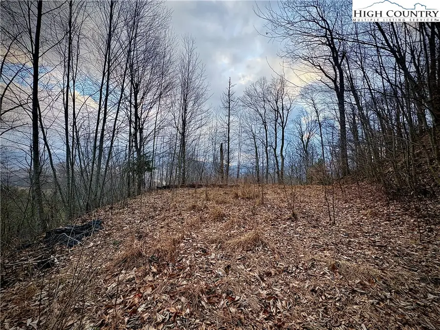 Lot 27 Wren Cove Lane, Vilas, NC 28692 - #3
