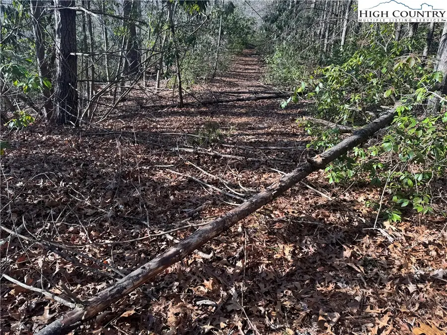 TBD Liberty Court Drive, West Jefferson, NC 28694 - #3