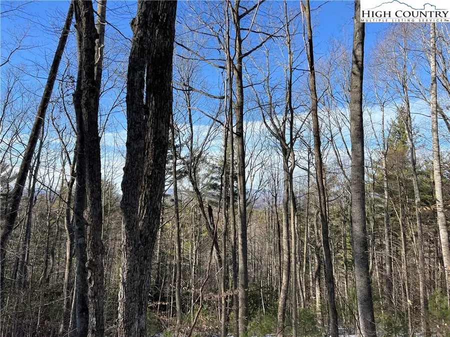 TBD (Lot 8) Woodland Ridge, Lansing, NC 28643 - #2