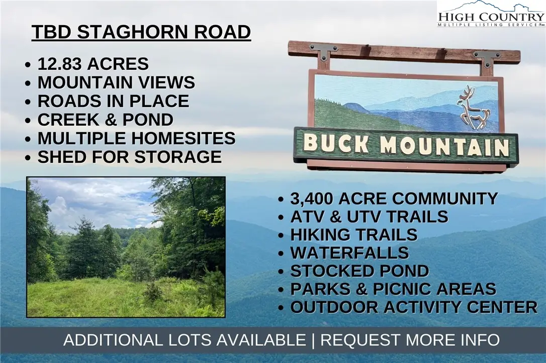 TBD Staghorn Road, Purlear, NC 28665 - #1