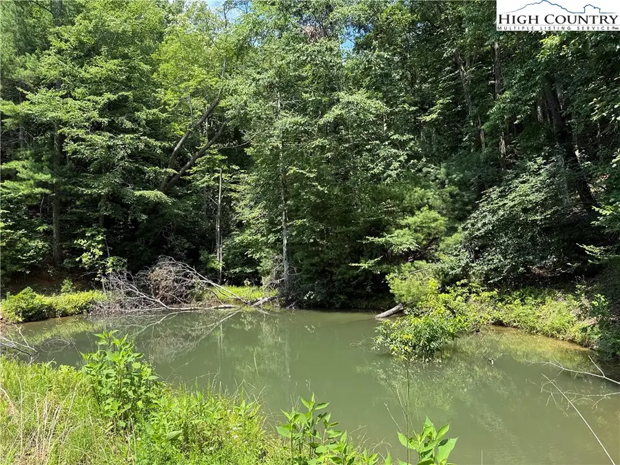 TBD Staghorn Road, Purlear, NC 28665 - #2