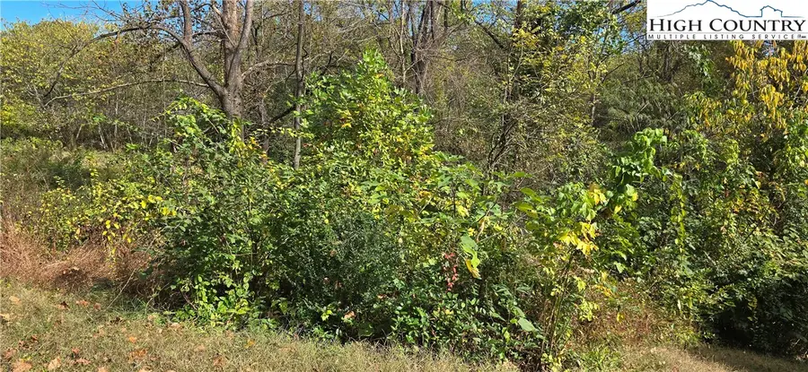 520 Healan Place, Lenoir, NC 28645 - #2