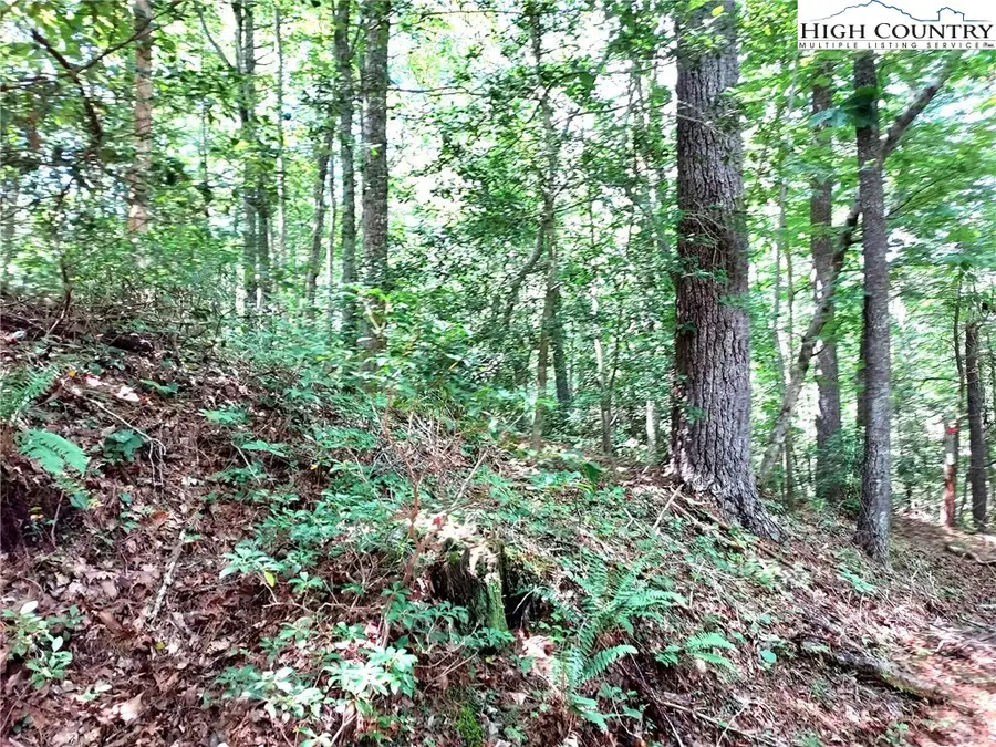 5354 West Ridge Lane, Ferguson, NC 28624 - #2