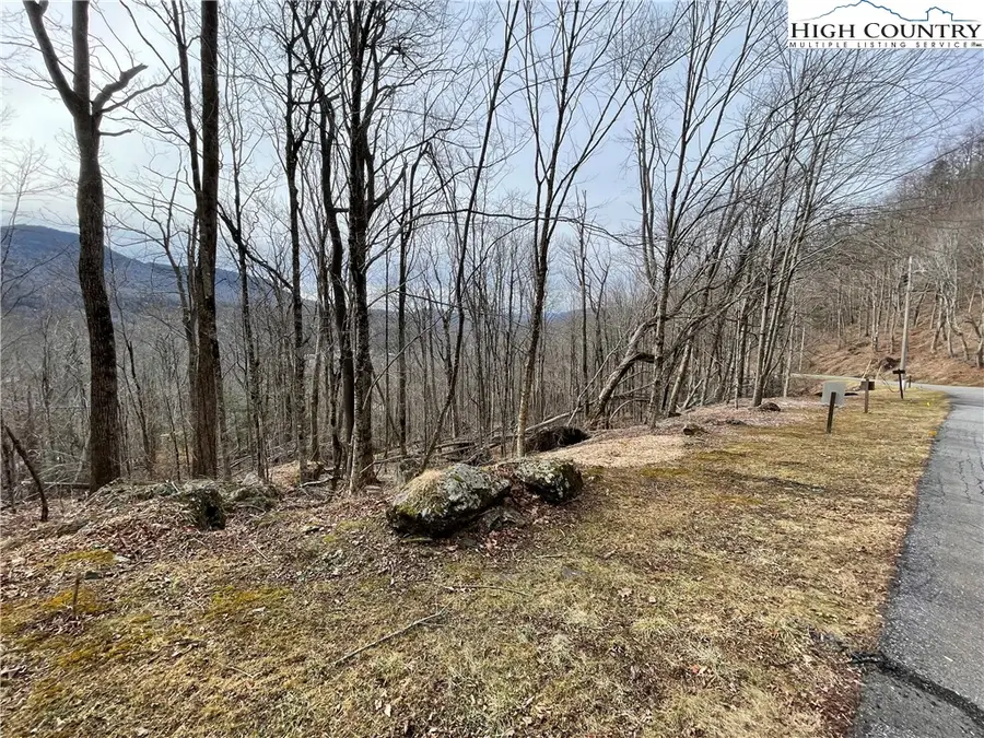 TBD Tynecastle Drive, Banner Elk, NC 28604 - #3