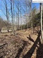 TBD Hwy 88 Highway, Creston, NC 28615 - #3