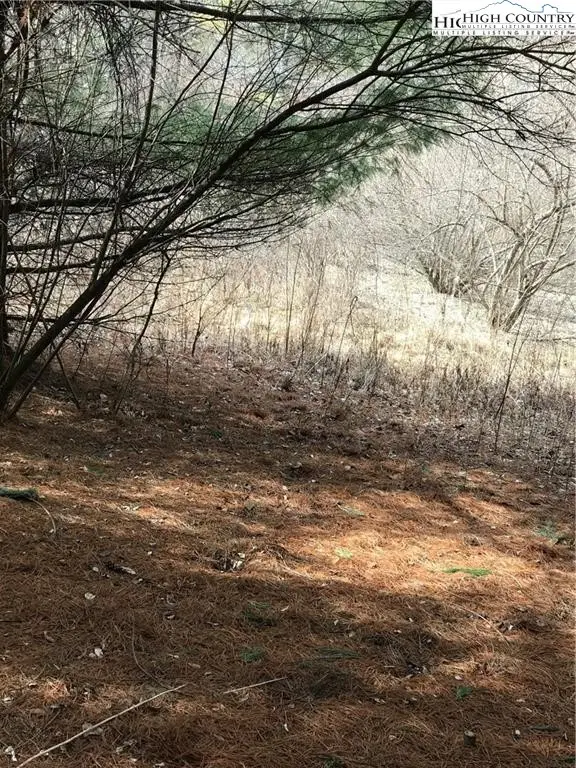 TBD Deer Path Road, Crumpler, NC 28617 - Image #1