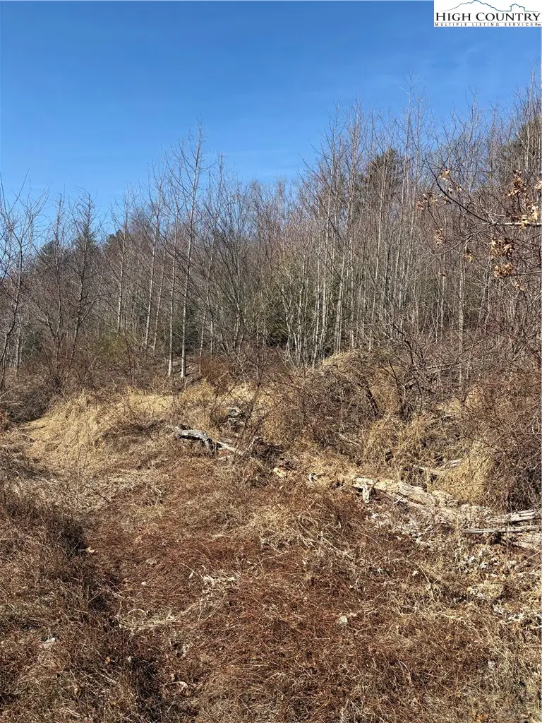 TBD Hwy 21 S/hollyknoll Rd., Glade Valley, NC 28627 - #3