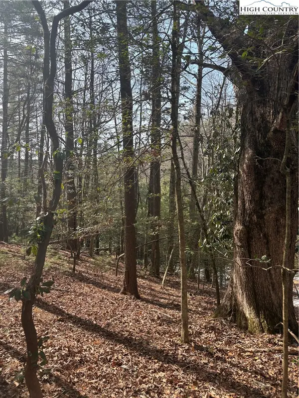 TBD Hollyknoll Rd. Lot #49 & 50, Glade Valley, NC 28627