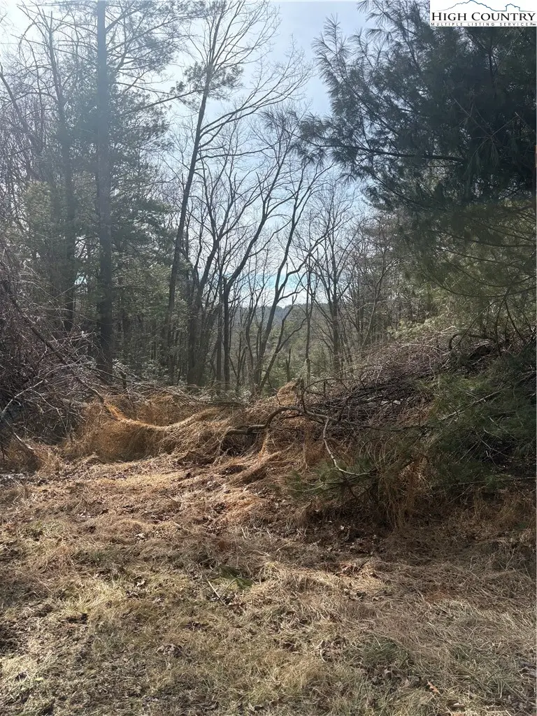 TBD Hollyknoll Rd. Lot #49 & 50, Glade Valley, NC 28627 - #2