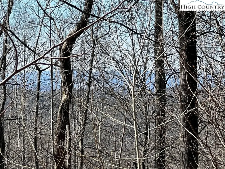 Lot 521 Timber Rock Drive, Patterson, NC 28604 - #3