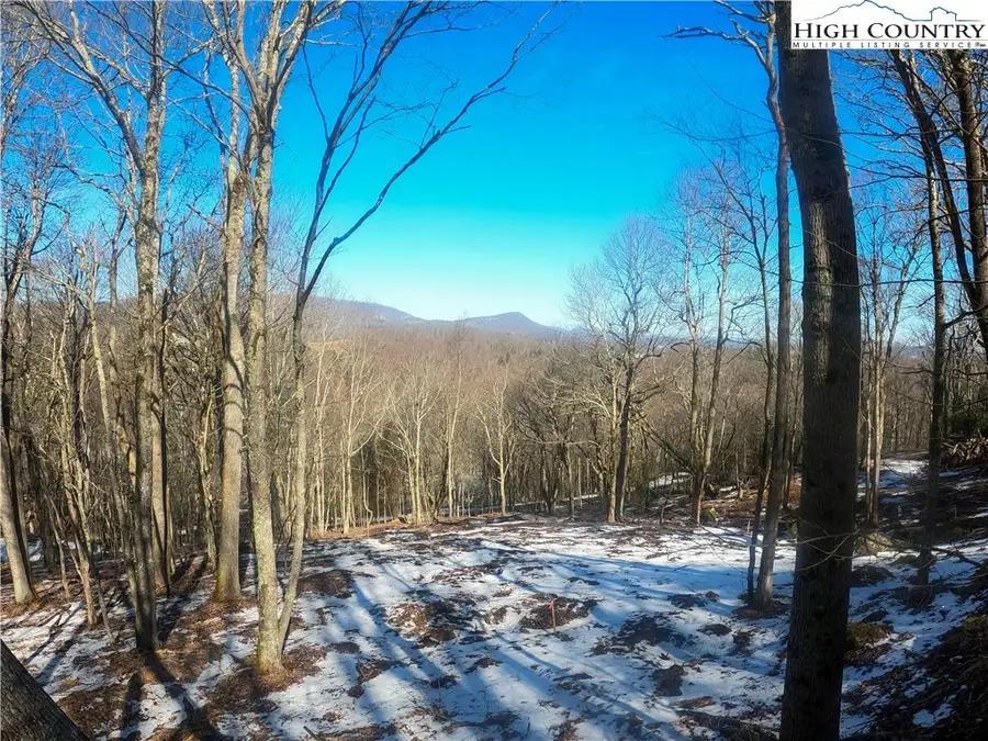 Lot 78 Belmont, Boone, NC 28607 - #2