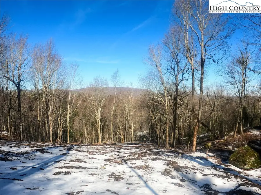 Lot 78 Belmont, Boone, NC 28607 - #3