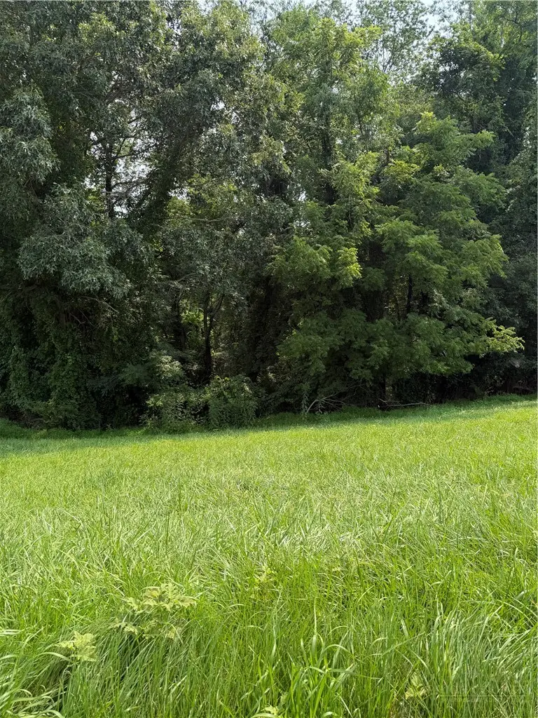TBD 10-H Memorial Park Drive, Sparta, NC 28675 - #2