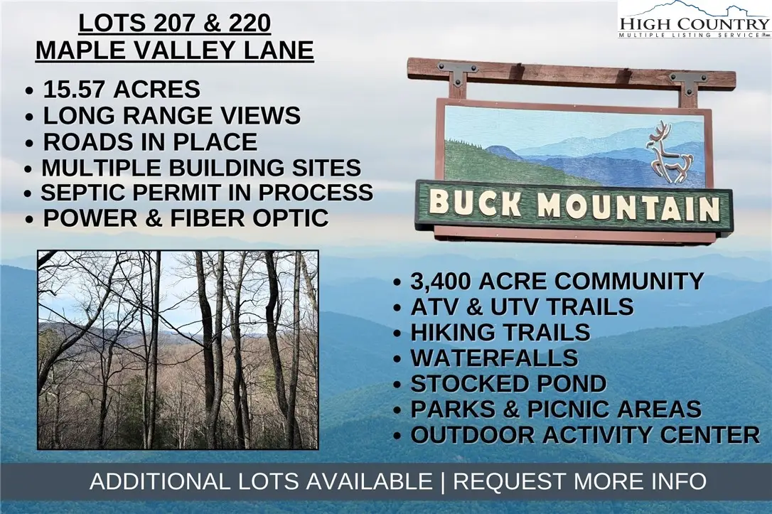 Lots 207 & 220 Maple Valley Lane, Purlear, NC 28665 - #1