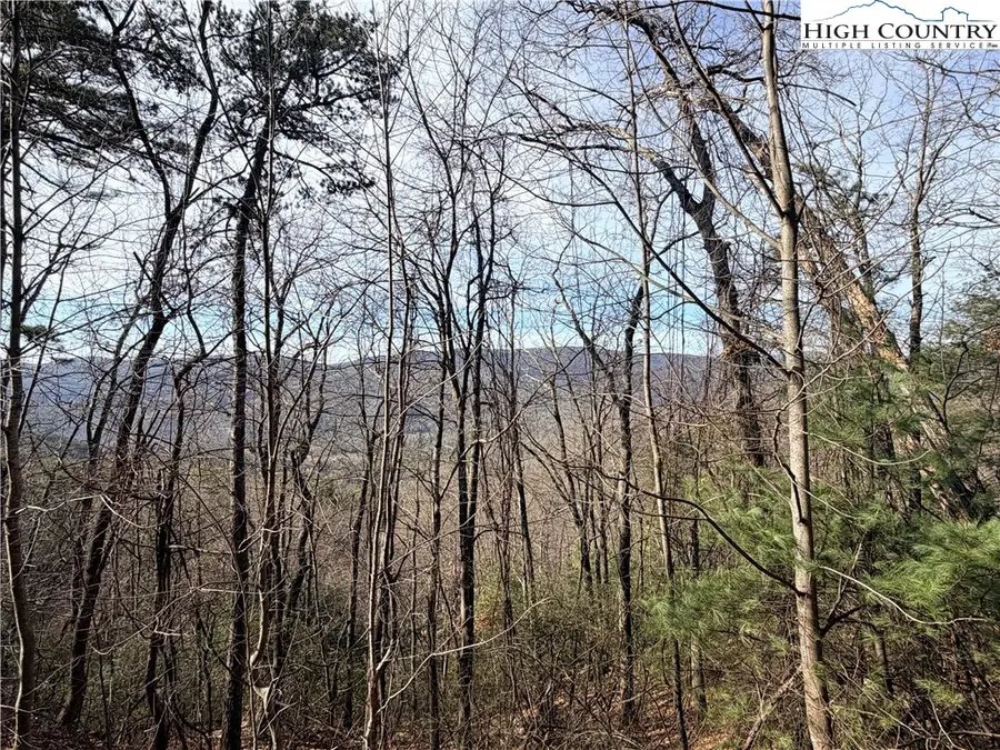 Lots 207 & 220 Maple Valley Lane, Purlear, NC 28665 - #3