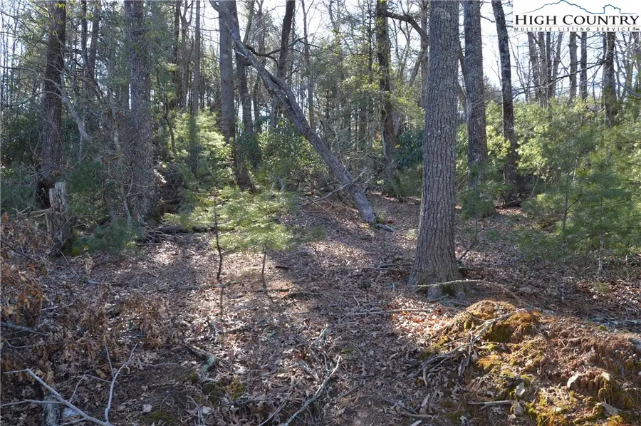 TBD Greenhouse Road, Roaring Gap, NC 28668 - #2