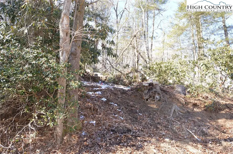 TBD Greenhouse Road, Roaring Gap, NC 28668 - #3