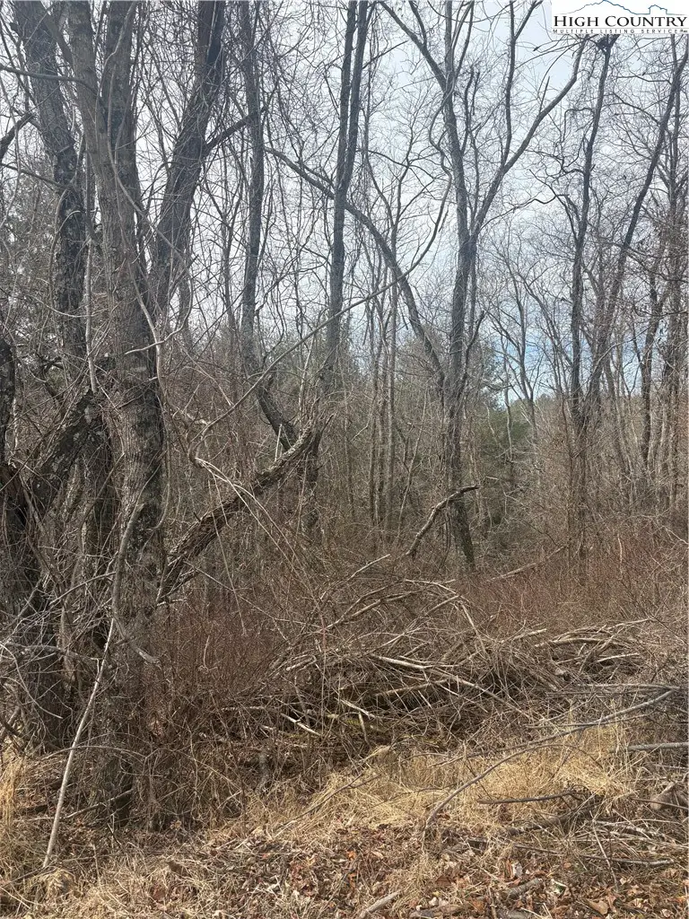 TBD 5-K River Run Lane, Sparta, NC 28675 - #2