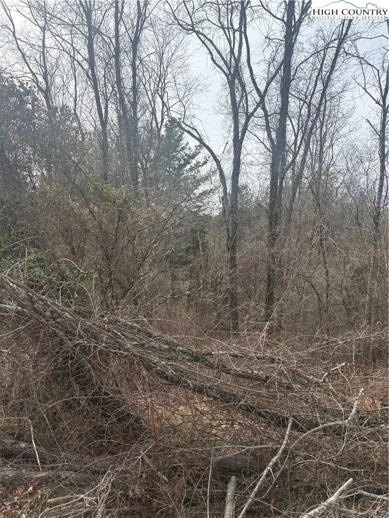 TBD 5-K River Run Lane, Sparta, NC 28675 - #3