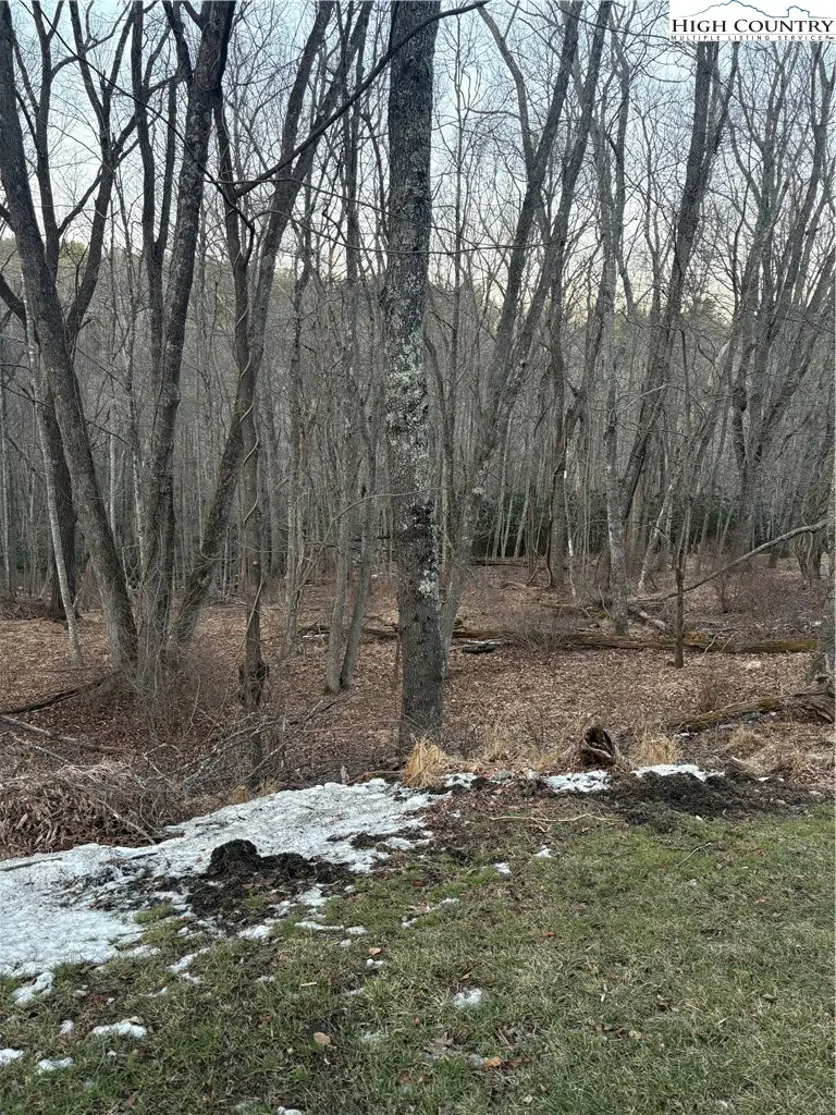 TBD 3-D Silo Road, Sparta, NC 28675 - #1