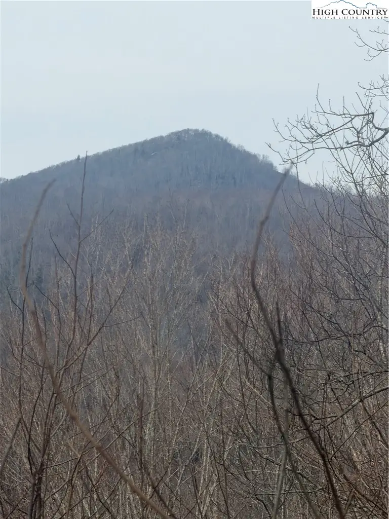 TBD Larkspur Trail, Banner Elk, NC 28604 - #1