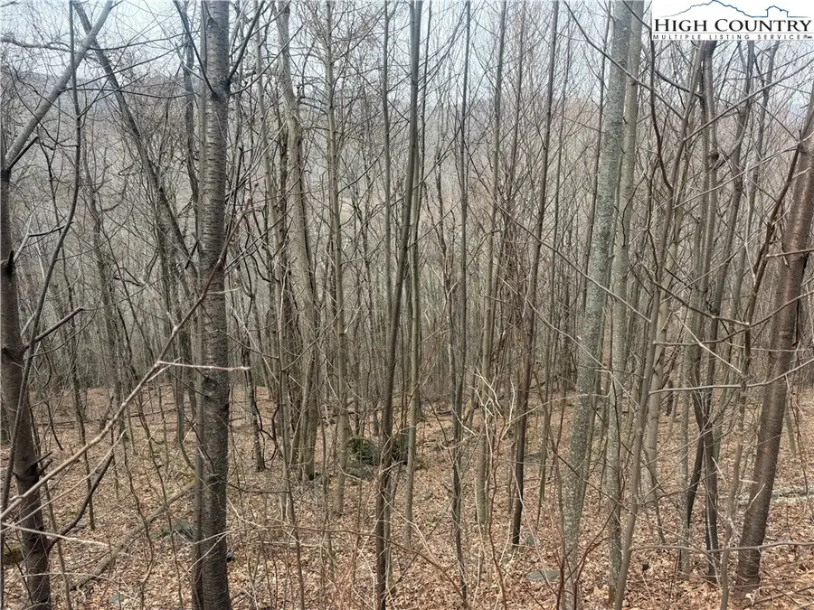 TBD Larkspur Trail, Banner Elk, NC 28604 - #2