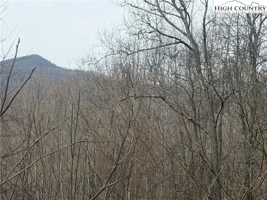 TBD Larkspur Trail, Banner Elk, NC 28604 - #3