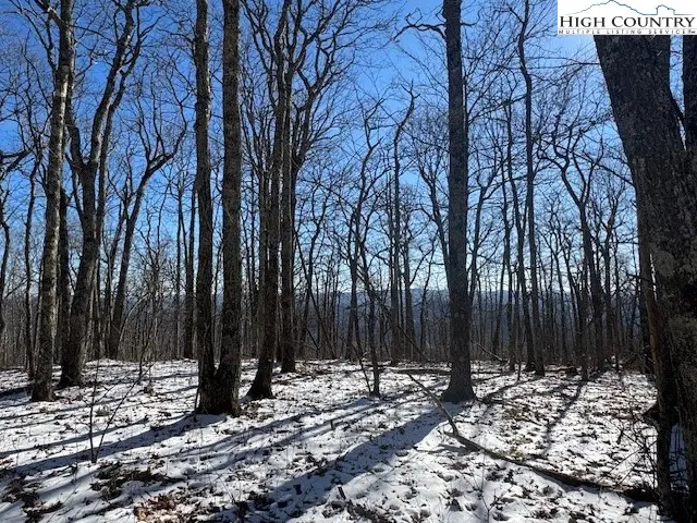 TBD Lot 88 Relaxation Point, Todd, NC 28684 - #2