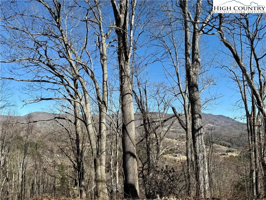 Lot 9 Vilas Overlook Drive, Vilas, NC 28692 - #2