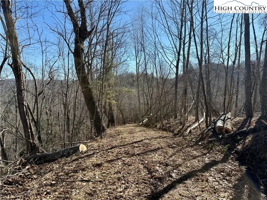 Lot 9 Vilas Overlook Drive, Vilas, NC 28692 - #3
