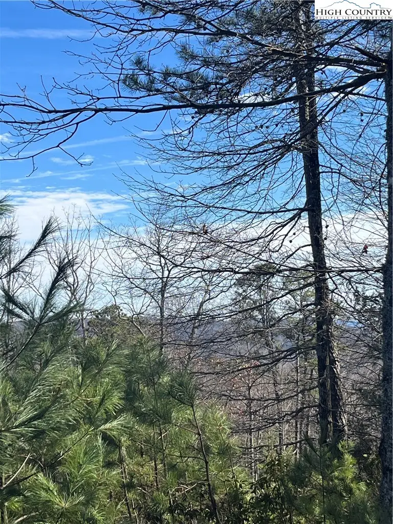 LOT 99 Nightshade Road, Boone, NC 28607 - #2