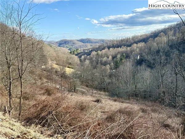 TBD Willard Johnson Road, Vilas, NC 28692