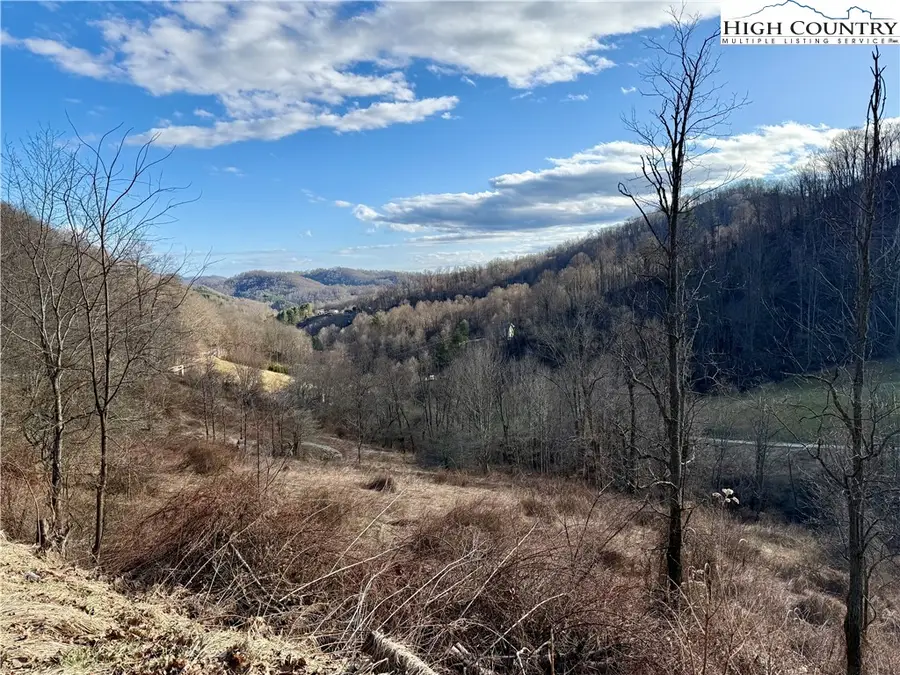 TBD Willard Johnson Road, Vilas, NC 28692 - #2