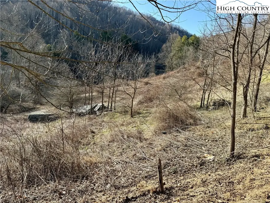 TBD Willard Johnson Road, Vilas, NC 28692 - #3