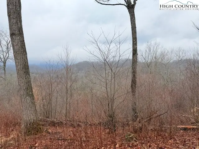 TBD (35.93 acres) Parson Hill Road, Lansing, NC 28643 - #2