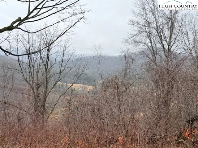 TBD (35.93 acres) Parson Hill Road, Lansing, NC 28643 - #3