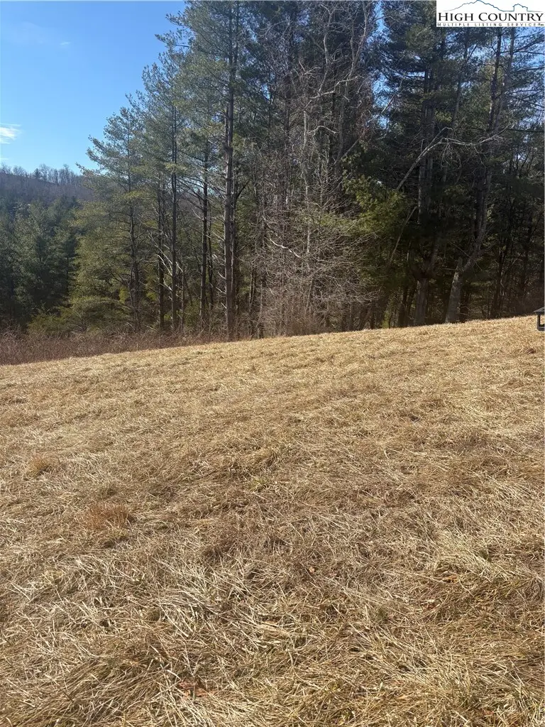 TBD 3L Memorial Park Drive, Sparta, NC 28675 - #3