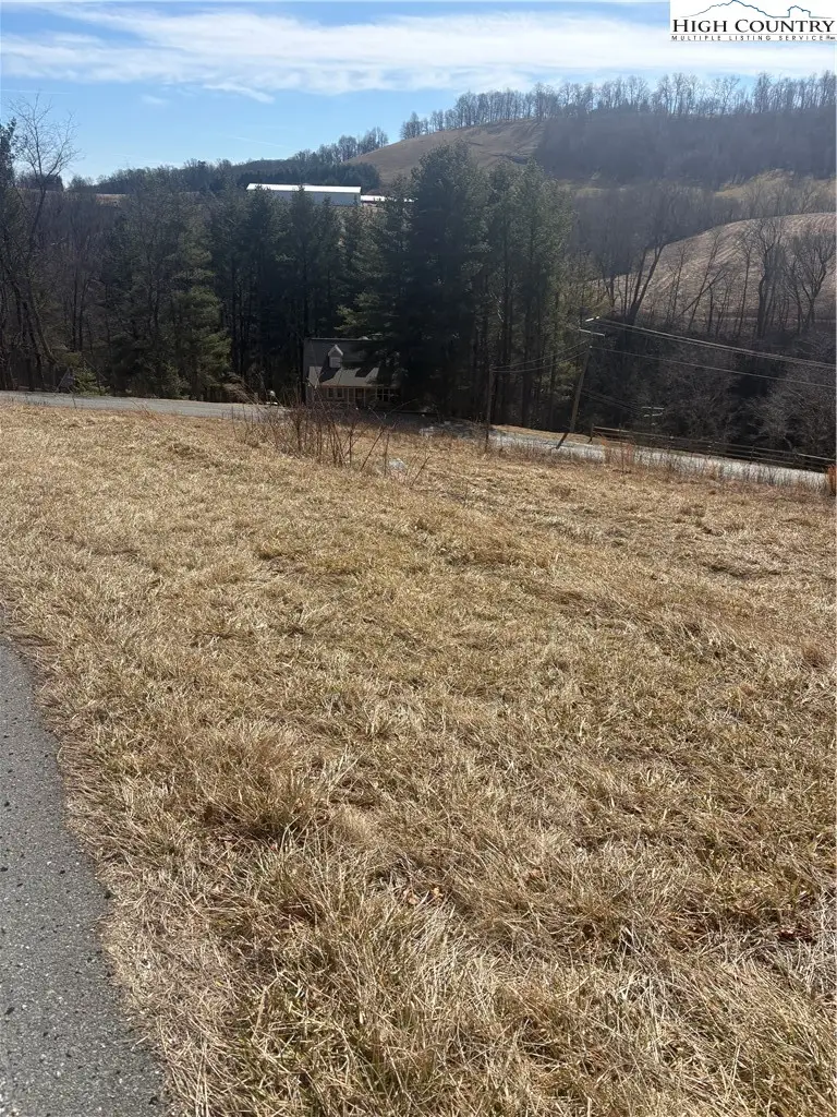 TBD 11M Memorial Park Drive, Sparta, NC 28675 - #3