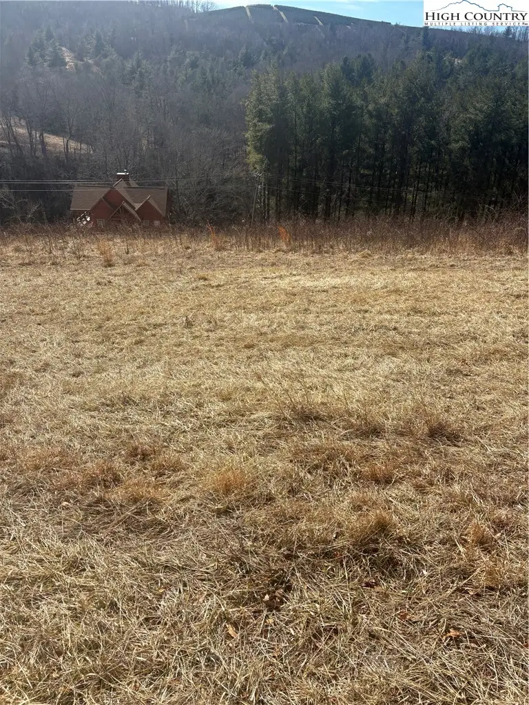 TBD 12M Memorial Park Drive, Sparta, NC 28675 - #2