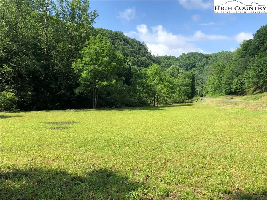 676 Big Helton Road, Grassy Creek, NC 28631 - #2