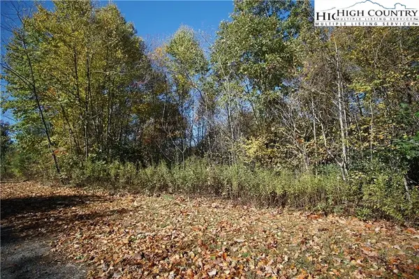 TBD Lots 2 & 3 Eden's Gate Road, Deep Gap, NC 28618