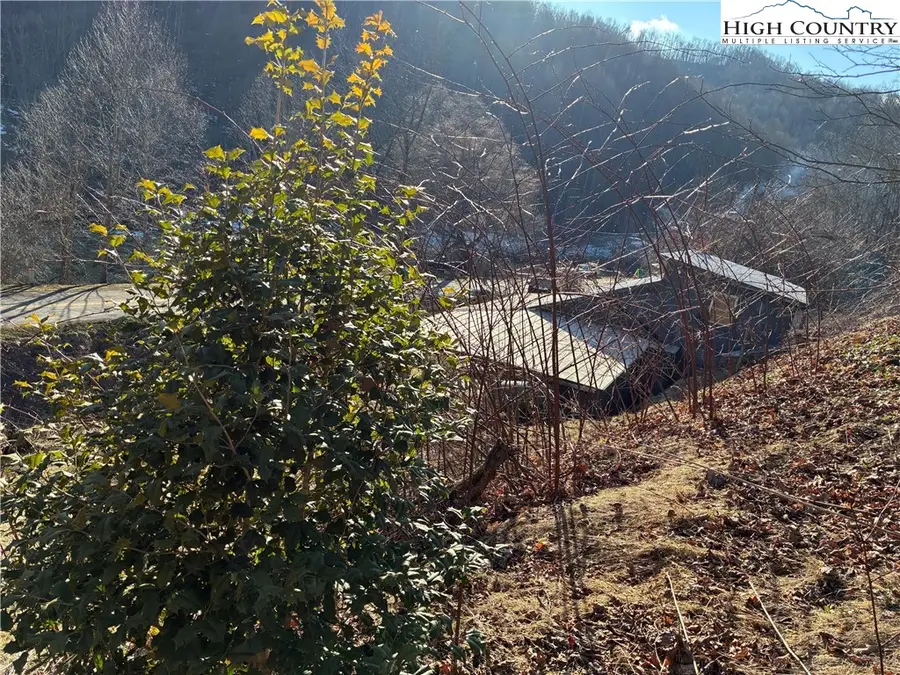 838 Rock Creek Road, Creston, NC 28615 - #2