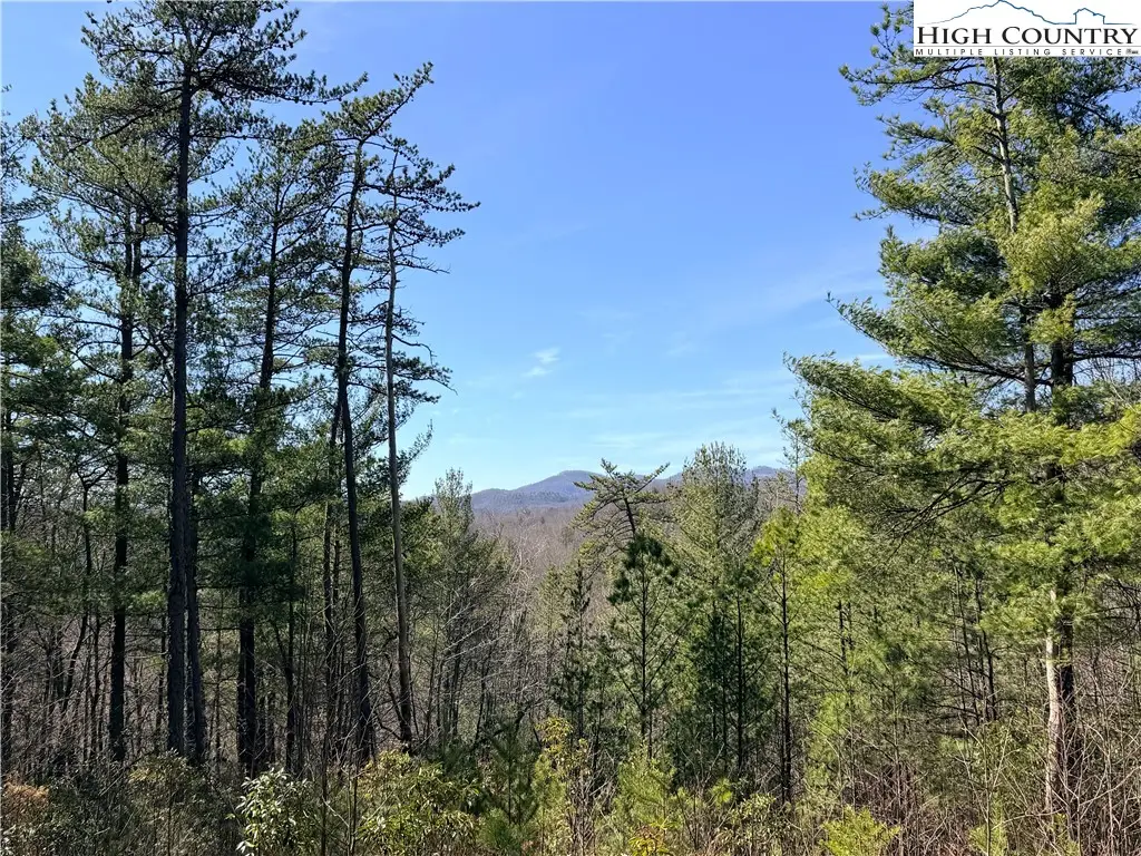 TBD (Lot 18) Hidden Creek Road, Deep Gap, NC 28618 - #1