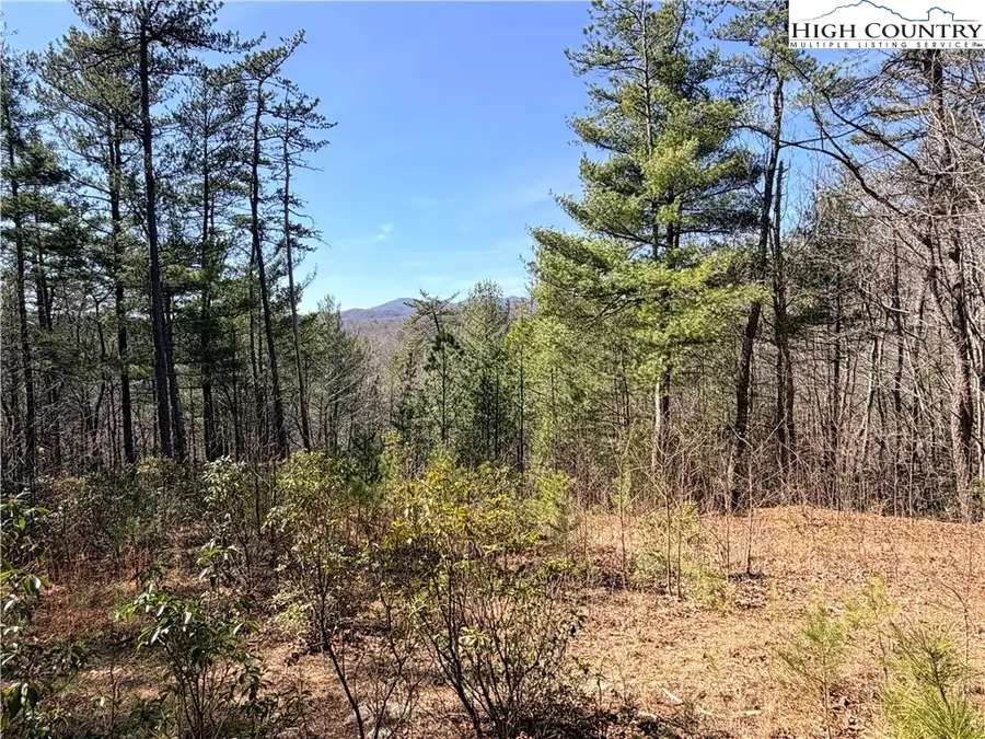 TBD (Lot 18) Hidden Creek Road, Deep Gap, NC 28618 - #2