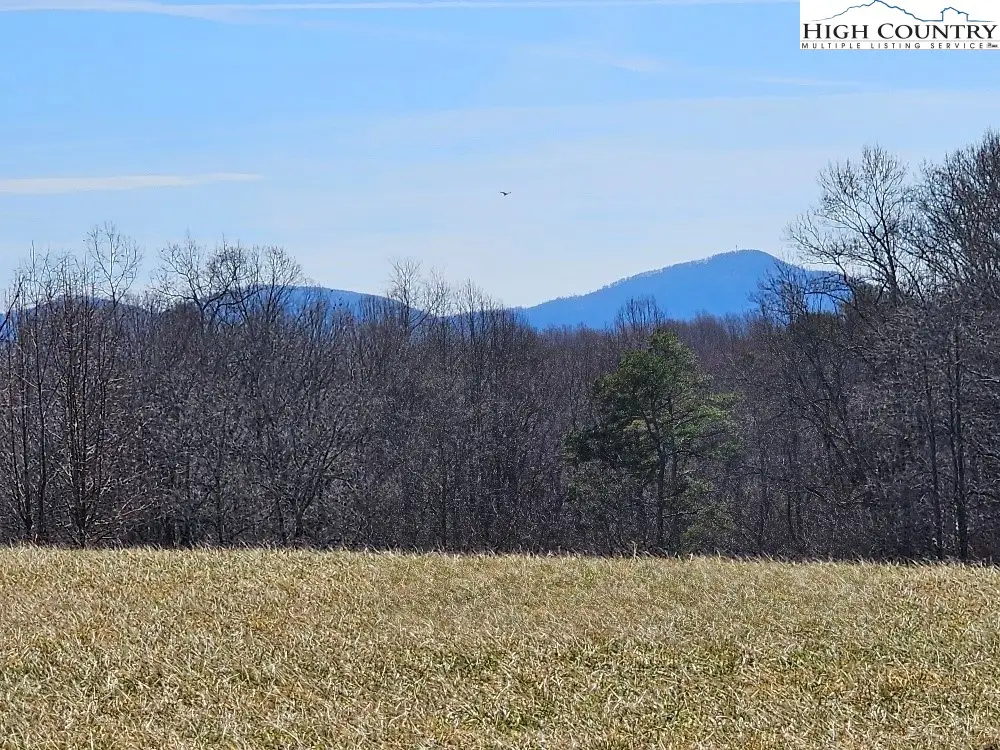 667 Pads Road, Wilkesboro, NC 28697 - #1