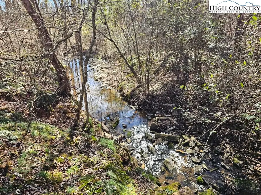 667 Pads Road, Wilkesboro, NC 28697 - #2