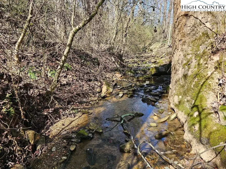 667 Pads Road, Wilkesboro, NC 28697 - #3