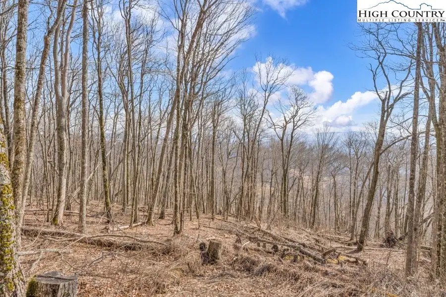 Lot 86 Elk Mountain Parkway, Todd, NC 28684 - #2